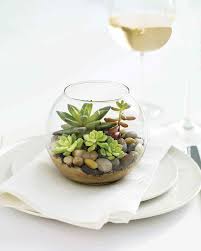 We did not find results for: Succulent Terrariums Martha Stewart