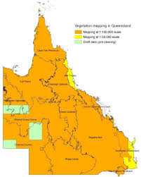 Image result for Buchnera longispicata