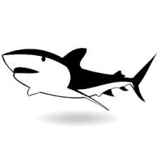 Download Free Angry Shark Clipart In Ai Svg Eps Or Psd