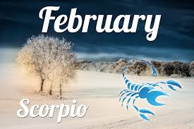 You may be looking at ways to explore greater success and to do things on your terms. Scorpio Horoscope February 2021 Accurate Prediction For Love Money Career And Health Knowinsiders