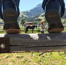 The beautifully curved side zip, rear cordura panel and side elasticated panel provides. 9 Rookie Approved Horseback Riding Boots For Beginners