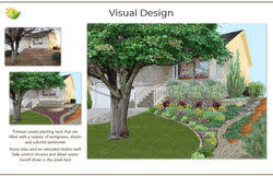 Xeriscape Designs