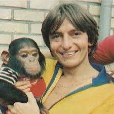 Willy Sommers viert 50e jubileum met biografie: 10 Willy-weetjes om te  zien...