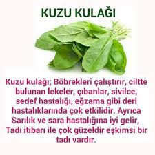 Saglik Sifali Otlar Saglik Saglikli Yasam Tarzi