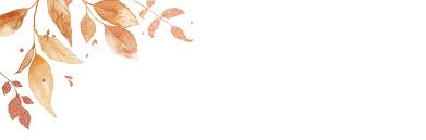 Bailey Dyck and Cameron Ivey's Wedding Website