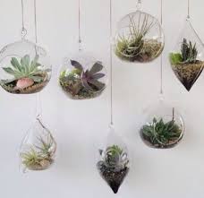 Cute And Cool Hanging Plants In Glass Bowls Home Accessory Home Decoration Hanging Plant Holder Hanging Terrarium Hanging Plants
