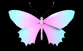 Check spelling or type a new query. Aesthetic Butterfly Gif Largest Wallpaper Portal