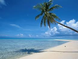 Get free stock footage that is curated especially for zoom virtual backgrounds on coverr. Moving Beach Background For Zoom Gif Beach Virtual Background For Zoom Gif Https Encrypted