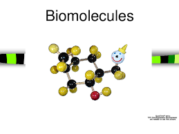 Our genes are made up of dna, and dna contains our unique genetic code. Ppt Biomolecules Jenny Dayrit Academia Edu