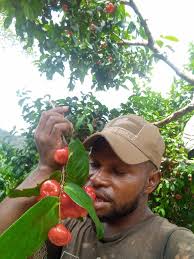 Leron# Prayer Mountain # 🇬🇦🇬🇦🇬🇦🇬🇦