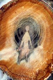 Apricot Sprites Aka The Anthropomorphic Heart Wood Critters My Dad Unearthed Magical Tree Anthropomorphic Apricot Tree