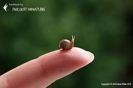 Brown Garden Snail Garden Range Snails In Garden Snail Miniatures