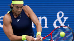 Image result for Kleinia garciana