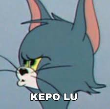 Netizen Pdx101 Happy Memes Cute Memes Memes Funny Faces