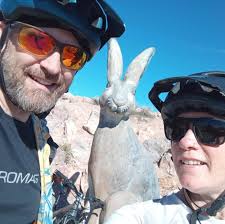 cannock chase mountain bike trails