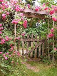 Dubai miracle garden beau site tall flowers living fence dubai city dubai mall vegetable garden design united arab emirates burj khalifa. Flowers And Garden Ideas Garden Gate Flowers Tn Leading Flowers Magazine Daily Beautiful Flowers For All Occasions