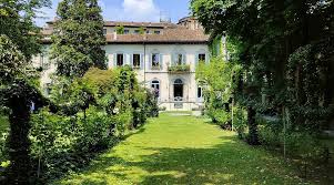 Image result for Vigna kirkii