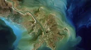 Massive 8,000-mile Gulf of Mexico 'dead zone' could be one of the largest | National Geographic