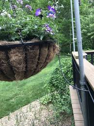 Learn about the best plants for hanging baskets. How To Set Up A Drip Irrigation System Part 1 Grow With Doctor Jo