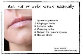 Pin On Herbalism