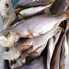 Ikan kelama/ gelama belah kering (ikan masin) 牛南片 450gm. Ikan Gelama Masin 1kg Lazada