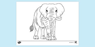 Wearing this onesie and a fun expression on its face realistic elephant coloring page. Free Realistic Elephant Colouring Page Colouring Sheets
