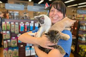 Feral kittens should be checked out by a veterinarian and tested for diseases contagious to other cats before you bring them home. Money Getting Tight For Fraser Valley Volunteer Feral Cat Rescuers Abbotsford News