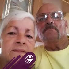 German mix breed dna results revealed