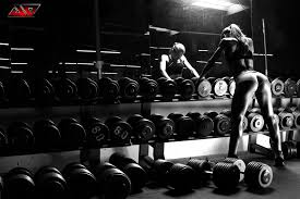 What you need to know is that these images that you add will neither increase nor decrease the speed of your computer. Gym Wallpapers Group 59