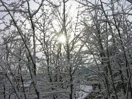 We did not find results for: Peut On Se Bruler Par Le Froid