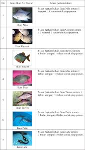 Pengertian ikan | ikan di definisikan sebagai hewan bertulang belakang (vertebrata) yang hidup di air dan secara sistematik ditempatkan pada filum chordata dengan karakteristik memiliki insang yang berfungsi untuk mengambil oksigen terlarut dari air dan sirip digunakan untuk berenang. 2