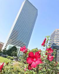 All locations dewey square rowes wharf plaza state street trillium beer garden. Rose Kennedy Greenway On Twitter Explore A New Perspective With All That Dewey Square Has To Offer From Food Trucks To Farmers Markets There S Lots To Discover At Summerondewey Presented By Citizensbank