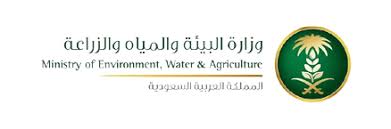 برج خزان المياه بتبوك Water Tower Tabuk مشاريع السعودية