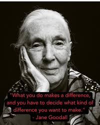 Today we pause to honor the life and legacy of Dr. Jane Goodall