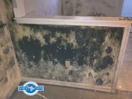 Insurance in regions like these commonly account for situations in which mold can rear its spotty head. Costs Associated With Mildew Removal Si Restoration