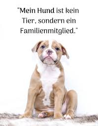 Mein Haustier Gehort Zur Familie Spruche Fur Die Seele Facebook