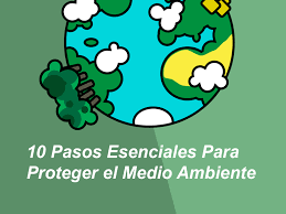 Reducir la contaminación del aire. Como Proteger Y Cuidar El Medio Ambiente 10 Pasos Esenciales