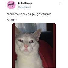 irem adli kullanicinin z memes komedi caps panosundaki pin komik komik capsler mesajlar
