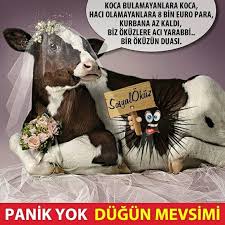 Mutlu Pazarlar Hayat Sevince Paylasinca Guzel Sosyalokuz Okuz Okumak Opucuk Bulusma Pazar Pazarkeyfi Gazete Mutlu Resim Komik Komik Seyler Okuma