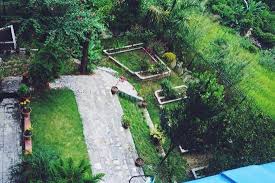 Please don't forget to vote for us in the chase main street mission grant! View Into The Beautiful Garden With Fruit Trees Too Picture Of Sadhana Yoga Retreat Centre Pokhara Tripadvisor