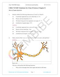 It is a type of asexual reproduction in which a single cell divides into two halves. Ncert Solutions For Class 8 Science Chapter 8 Pdf Download