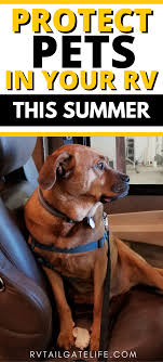 Comparing The Best Rv Pet Temperature Monitors Rv Tailgate Life Rv Pet Rv Rv Life