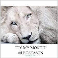 Birthday Coming Up Meme Leo Cute Leo Season Memes It S My Month Leoseason Leo Season Leo Season Memes Leo And Cancer