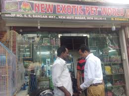 Search anything about wallpaper ideas in this website. Vanshika Pet Shop Inderpuri Pet Shops For Dog In Delhi Justdial