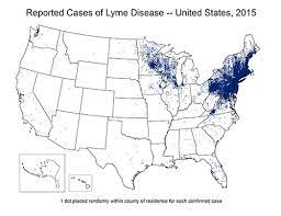 We Are Ticked Off About Lyme Disease Animal Health Center