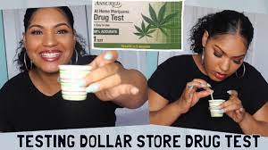 Testing 1 Dollar Drug Test Does It Really Work Youtube
