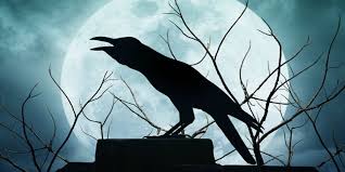 You can streaming and download for free here! Ini 7 Hewan Pertanda Adanya Hantu Dan Datangnya Kematian Salah Satunya Burung Gagak