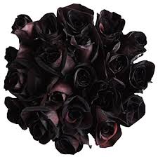When planted, they add beauty to our garden. 24 Stems Black Roses Bouquet By Flower Explosion Real Fresh Tinted Black Roses Buy Online In United Arab Emirates At Desertcart 12570347