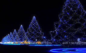 Holiday Picture For Desktops Oakley Gill 2016 04 14 Blue Christmas Lights Blue Christmas Tree Christmas Tree Wallpaper