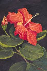 Red Hibiscus Art Print By Darice Machel Mcguire Hibiscus Flower Drawing Flower Drawing Flower Painting